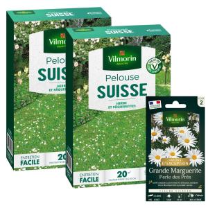 Pelouse Suisse - Paquerettes (x2) + Grande Marguerite Perle des Prés - Graines d'Exception Offerte